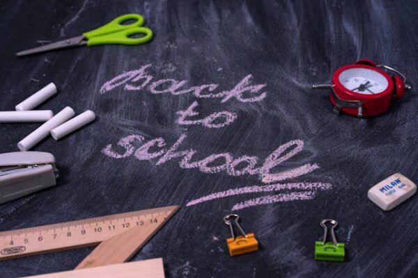 Blackboard with writing and school utensils.